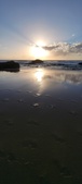 Enlarge photo 477