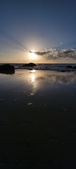 Enlarge photo 481