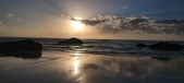Enlarge photo 484
