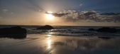 Enlarge photo 485