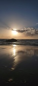 Enlarge photo 486