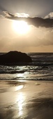 Enlarge photo 487