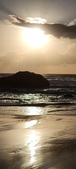 Enlarge photo 488