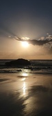 Enlarge photo 489