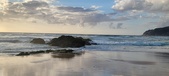 Enlarge photo 495