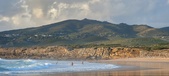 Enlarge photo 499