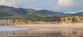 Enlarge photo 501