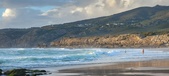 Enlarge photo 503