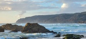 Enlarge photo 505