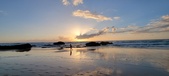 Enlarge photo 519