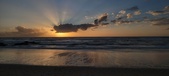 Enlarge photo 533