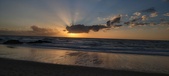 Enlarge photo 534