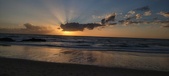 Enlarge photo 535