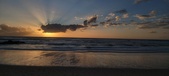 Enlarge photo 536