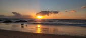 Enlarge photo 546