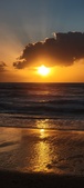 Enlarge photo 555