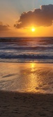 Enlarge photo 556