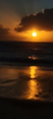 Enlarge photo 557