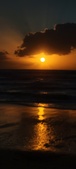 Enlarge photo 558