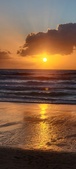 Enlarge photo 559