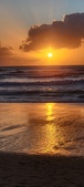 Enlarge photo 560