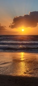 Enlarge photo 561