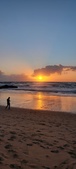 Enlarge photo 562