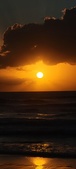Enlarge photo 563