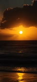 Enlarge photo 564