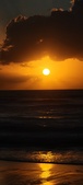 Enlarge photo 565