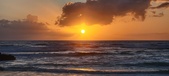 Enlarge photo 566