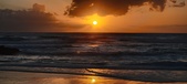 Enlarge photo 568