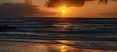 Enlarge photo 569