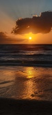 Enlarge photo 570