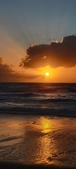 Enlarge photo 571