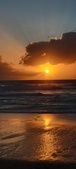 Enlarge photo 573