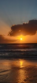 Enlarge photo 575