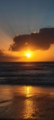 Enlarge photo 576