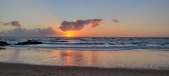 Enlarge photo 592