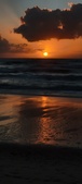 Enlarge photo 595