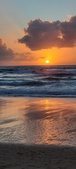 Enlarge photo 596