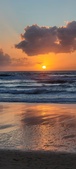 Enlarge photo 597