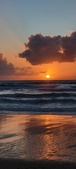Enlarge photo 599