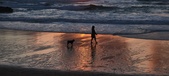 Enlarge photo 603