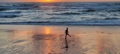 Enlarge photo 605