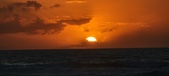Enlarge photo 617