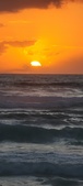 Enlarge photo 619