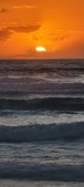 Enlarge photo 620