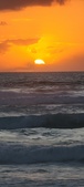 Enlarge photo 622