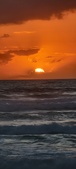 Enlarge photo 623